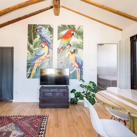 Apartment A Casa Breathtaking Attic In Strada Maggiore Bologna